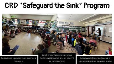CRD safeguard sink