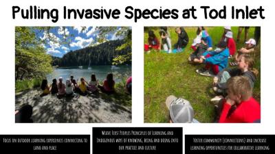 Invasive species