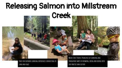 Salmon project