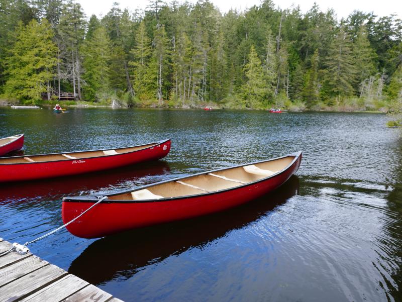 Picture of canoes