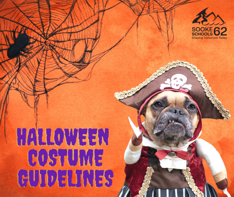 Dog wearing a halloween costume.