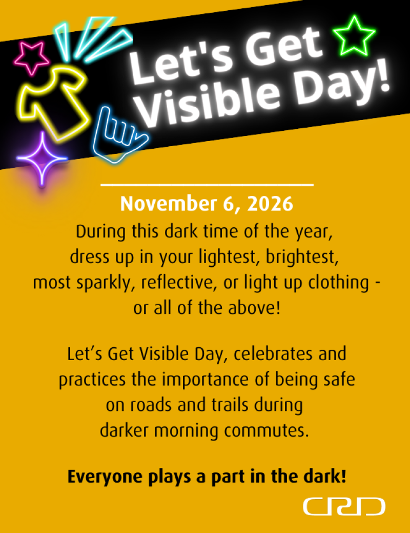 Promotional poster for Let's Get Visible Day on November 6