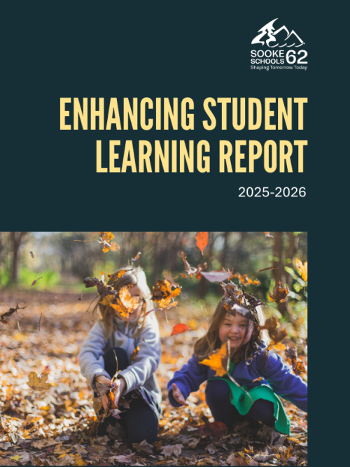 Picture of the front of the report. 