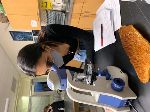 A student looks into a microscope