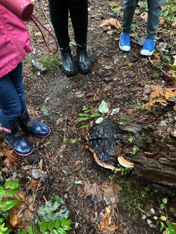 Image of children in the forest looking a a giant fungus. The forest fauna teaches  us.