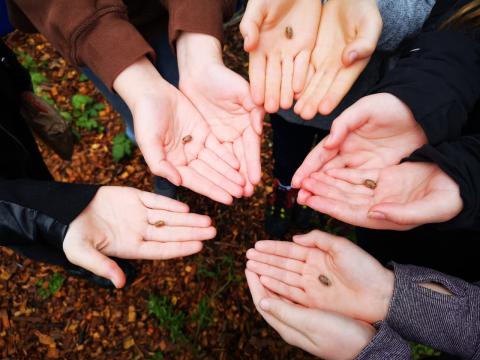 Image of hands together. Together, we can achieve anything.