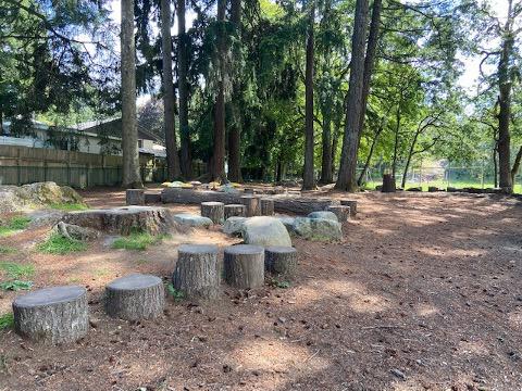 An outdoor learning space with stumps for students to sit on