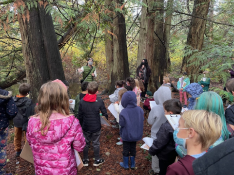 A group of students faces a teacher, standing outdoors in a forest. 