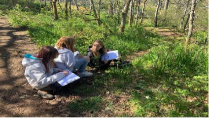 Three students doing schoolwork on clipboards in a forest