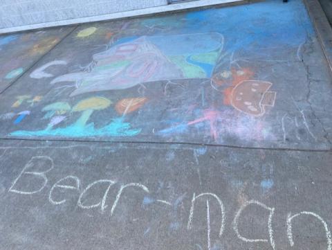 Role Model Chalk Art - Bear