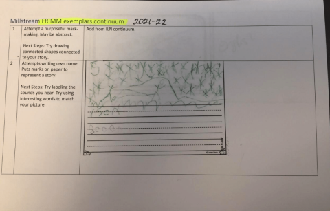 Milstream FRIMM exemplars continuum