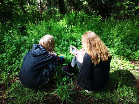 two students working outside in the forest sunshine.