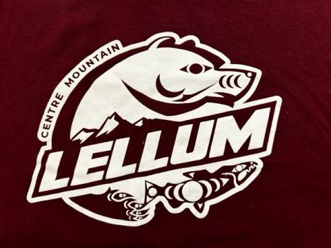 Centre Mountain Lellum Middle School Logo.
